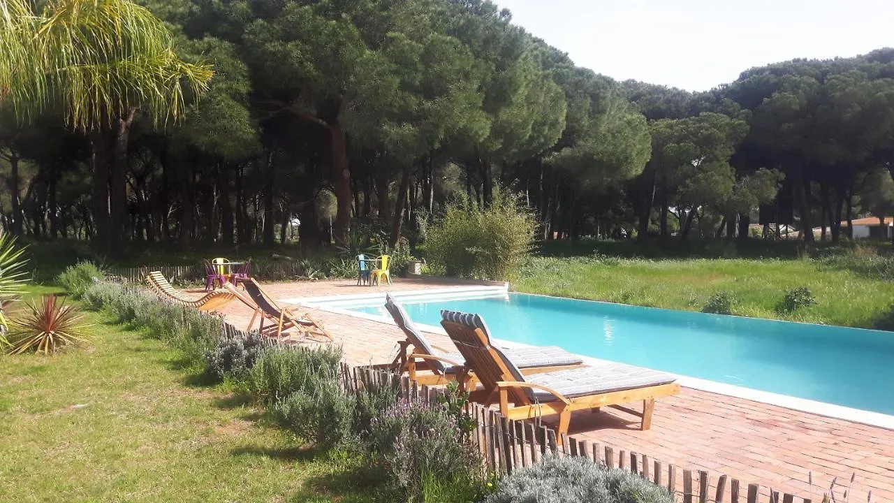 Micielo - Baumhaeuser Villa Vejer de la Frontera