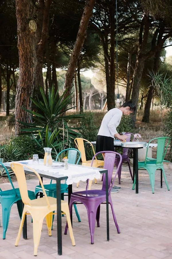 Micielo - Baumhaeuser Villa Vejer de la Frontera