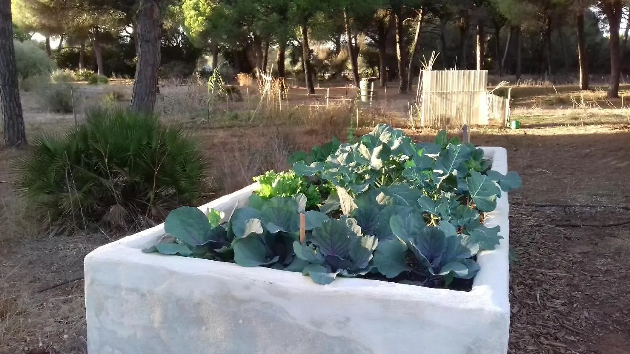 Lodge Micielo - Baumhaeuser Vejer de la Frontera