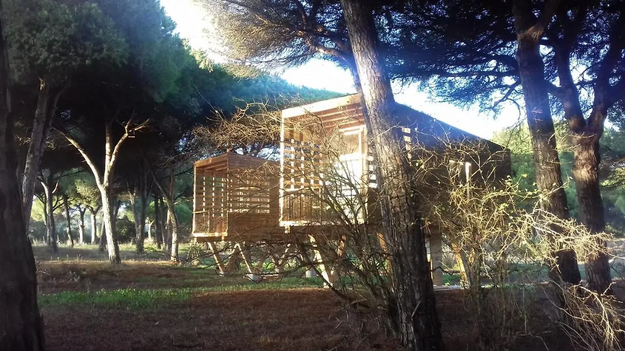 Micielo - Baumhaeuser Vejer de la Frontera 0*,
