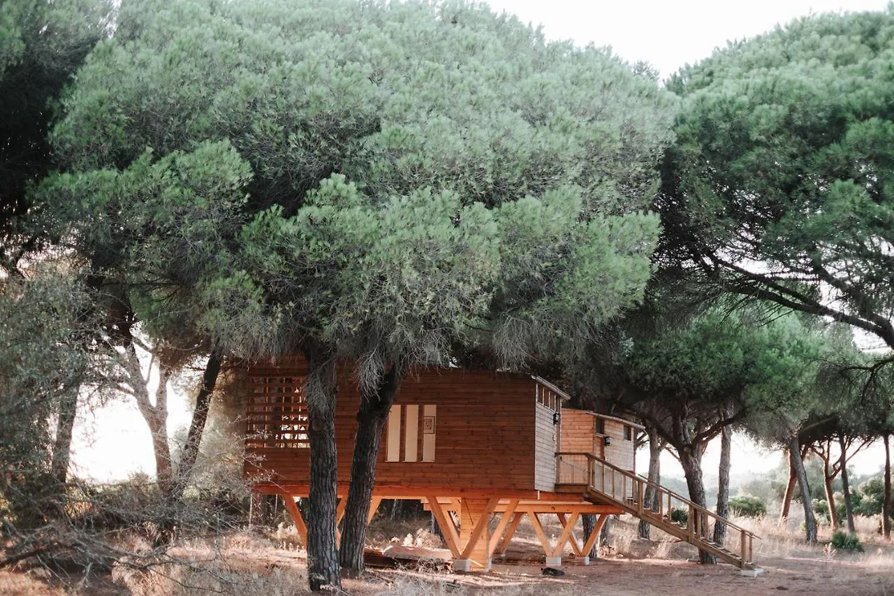 Lodge Micielo - Baumhaeuser Vejer de la Frontera