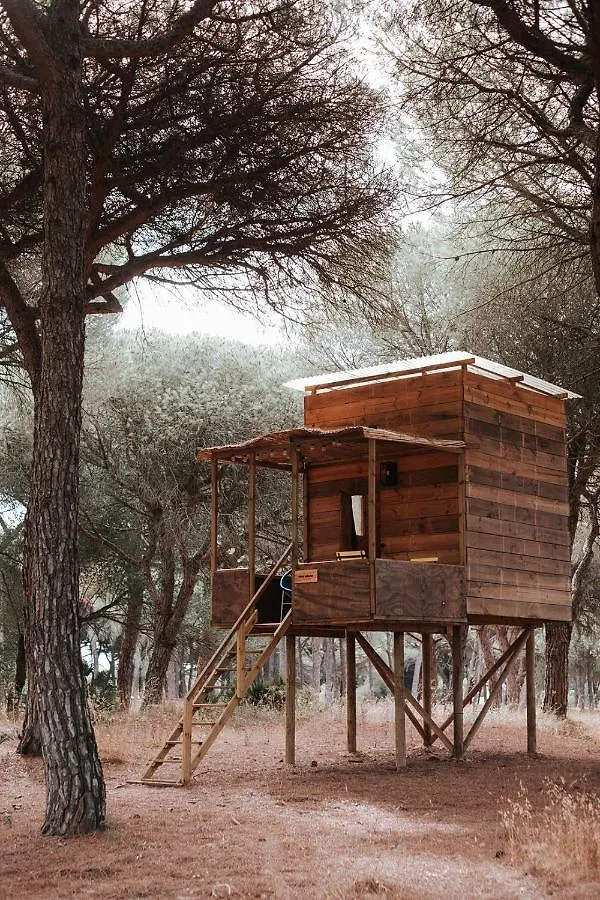 Micielo - Baumhaeuser Vejer de la Frontera Lodge