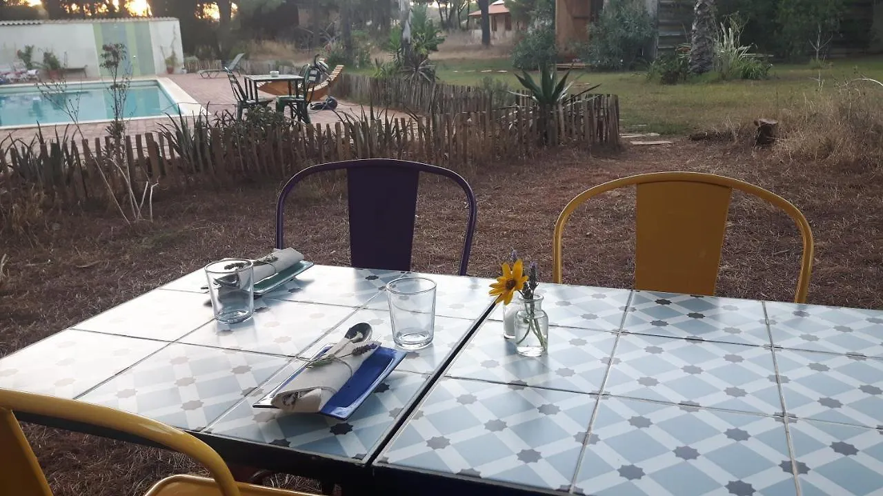 Micielo - Baumhaeuser Vejer de la Frontera Lodge