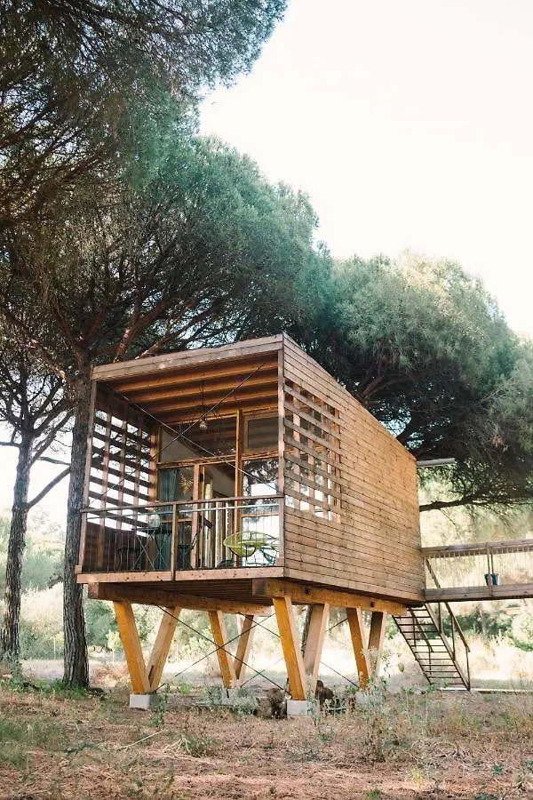 Micielo - Baumhaeuser Vejer de la Frontera 0*,  Spain