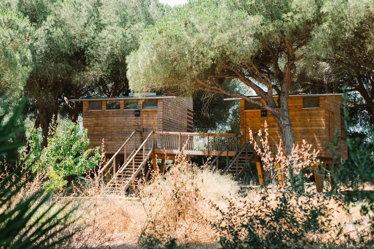 Micielo - Baumhaeuser Vejer de la Frontera 0*,