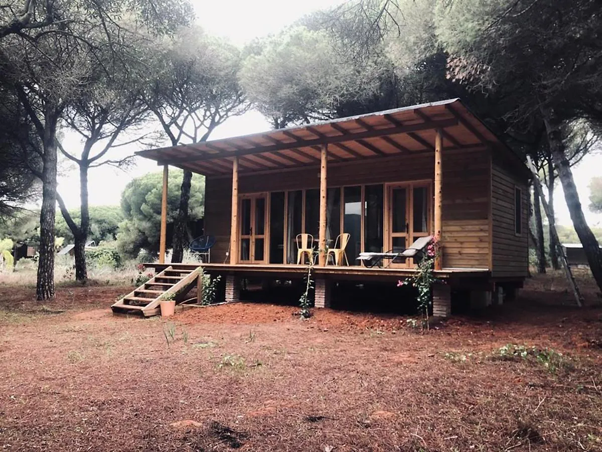 Micielo - Baumhaeuser Vejer de la Frontera Lodge