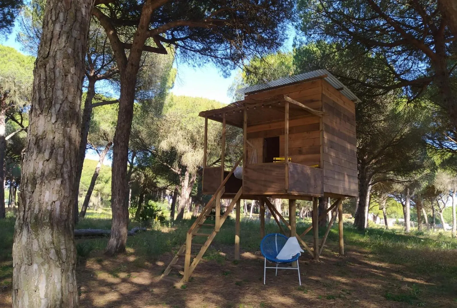 Micielo - Baumhaeuser Vejer de la Frontera
